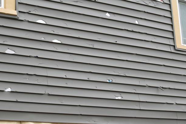 Best Steel Siding Installation  in Rkside, PA